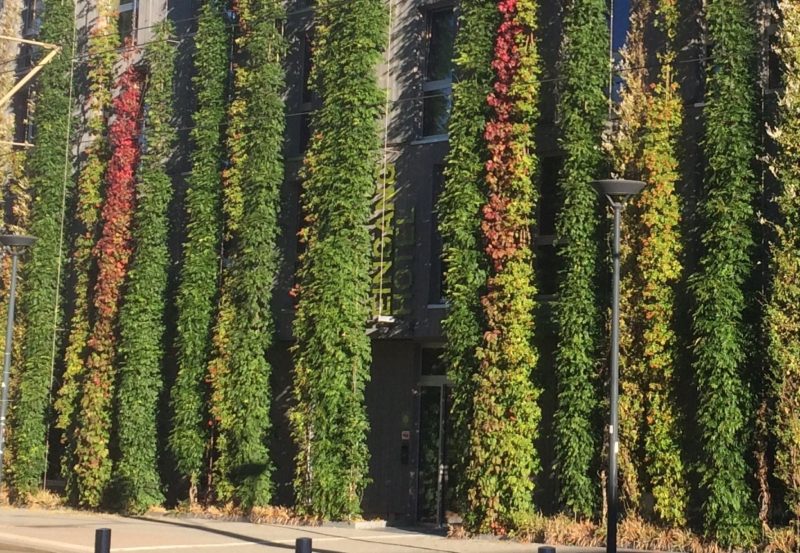 greencityhotel