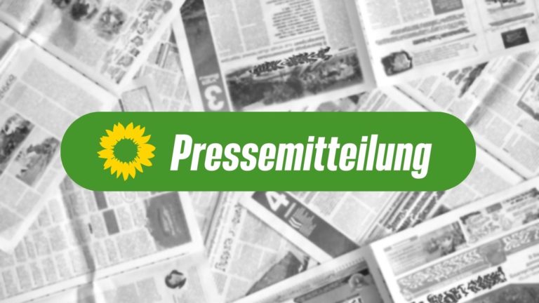 Grüne und CDU wollen Möglichkeit für Videositzungen des Gemeinderats