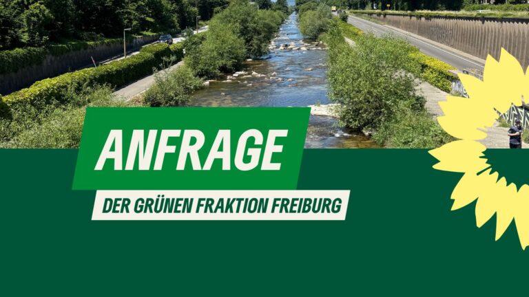 Einrichtung einer Schutzzone in der Dreisam auf der Höhe der Brauerei Ganter