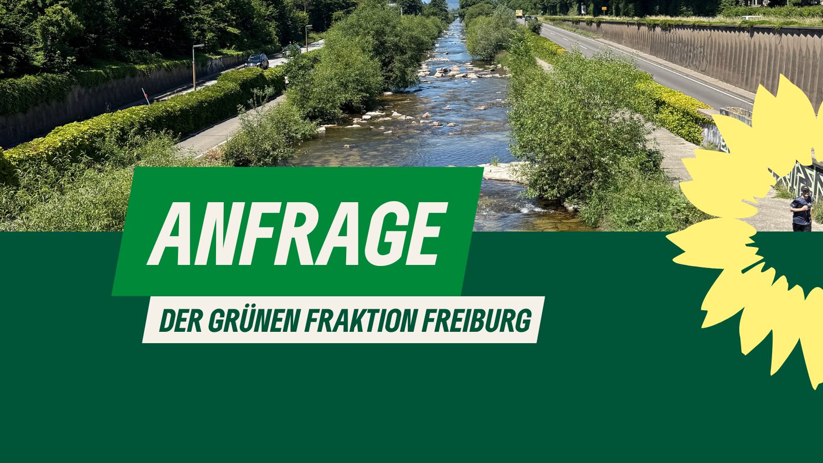 Einrichtung einer Schutzzone in der Dreisam auf der Höhe der Brauerei Ganter