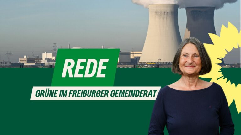 Risiko Schweizer AKW: „Bund und Land gefordert“
