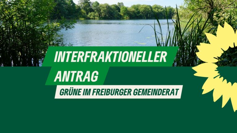 Antrag nach §34 GemO: Sicherheit an Badeseen